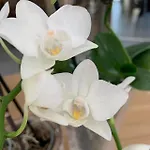 Barsanti ホテル 3*